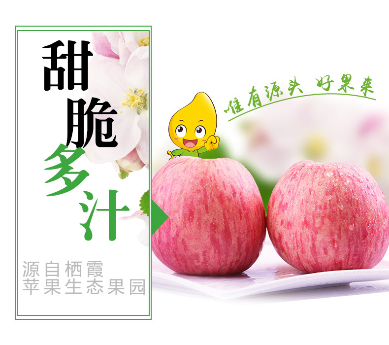 ɽϼ츻ʿƻ