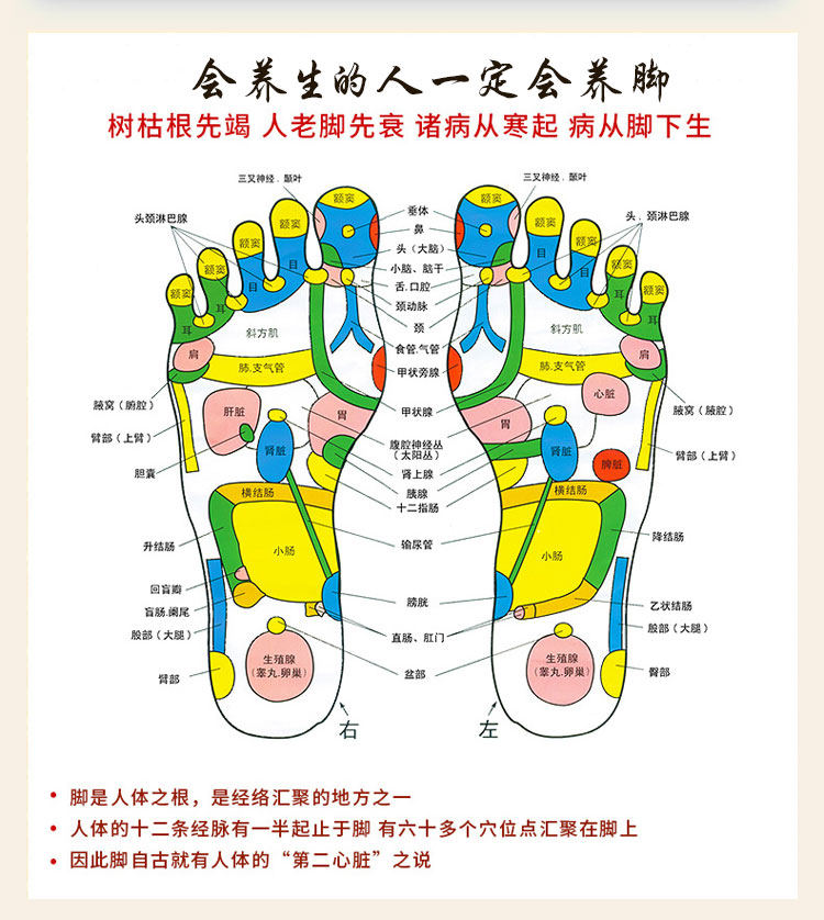 金泰康藏红花泡脚保暖手脚加热暖足浴粉6g*30包*3袋